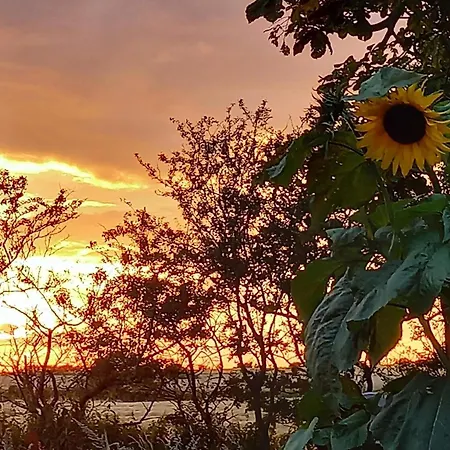 Feriehus 6 Person In