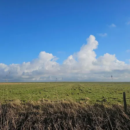 Prázdninový dům 6 Person In *