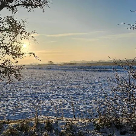 6 Person In * Højer