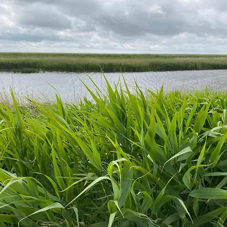 6 Person In Feriehus *