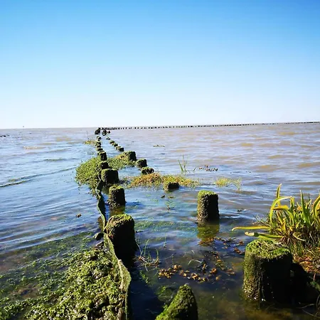 Prázdninový dům 6 Person In *